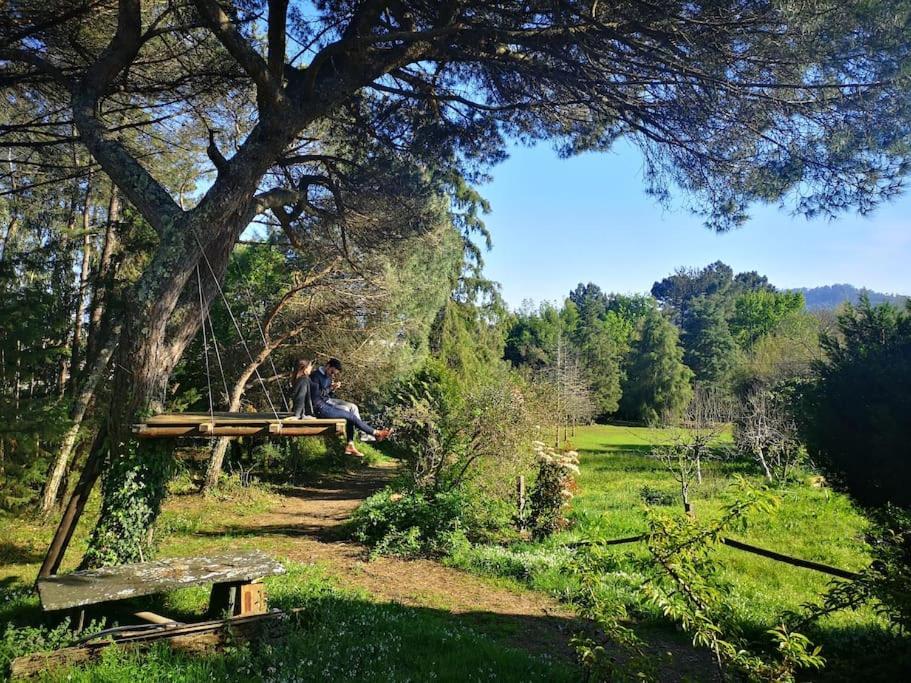 Pine Lodge - Direct Train To Porto فالونغو المظهر الخارجي الصورة