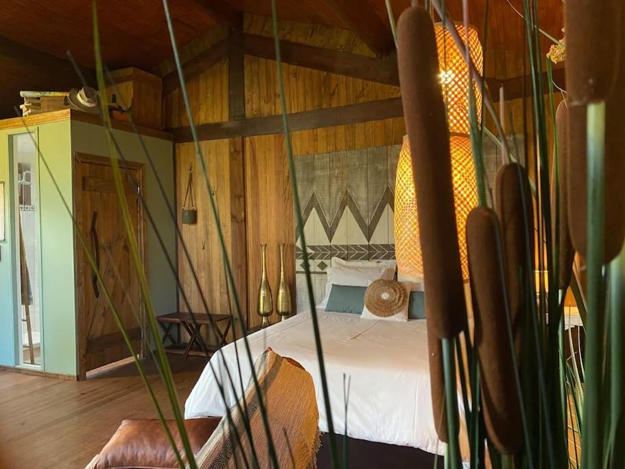 Pine Lodge - Direct Train To Porto فالونغو المظهر الخارجي الصورة