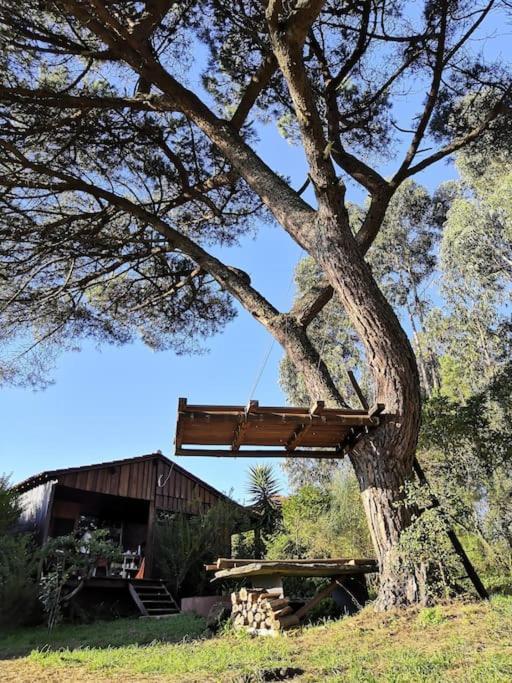 Pine Lodge - Direct Train To Porto فالونغو المظهر الخارجي الصورة